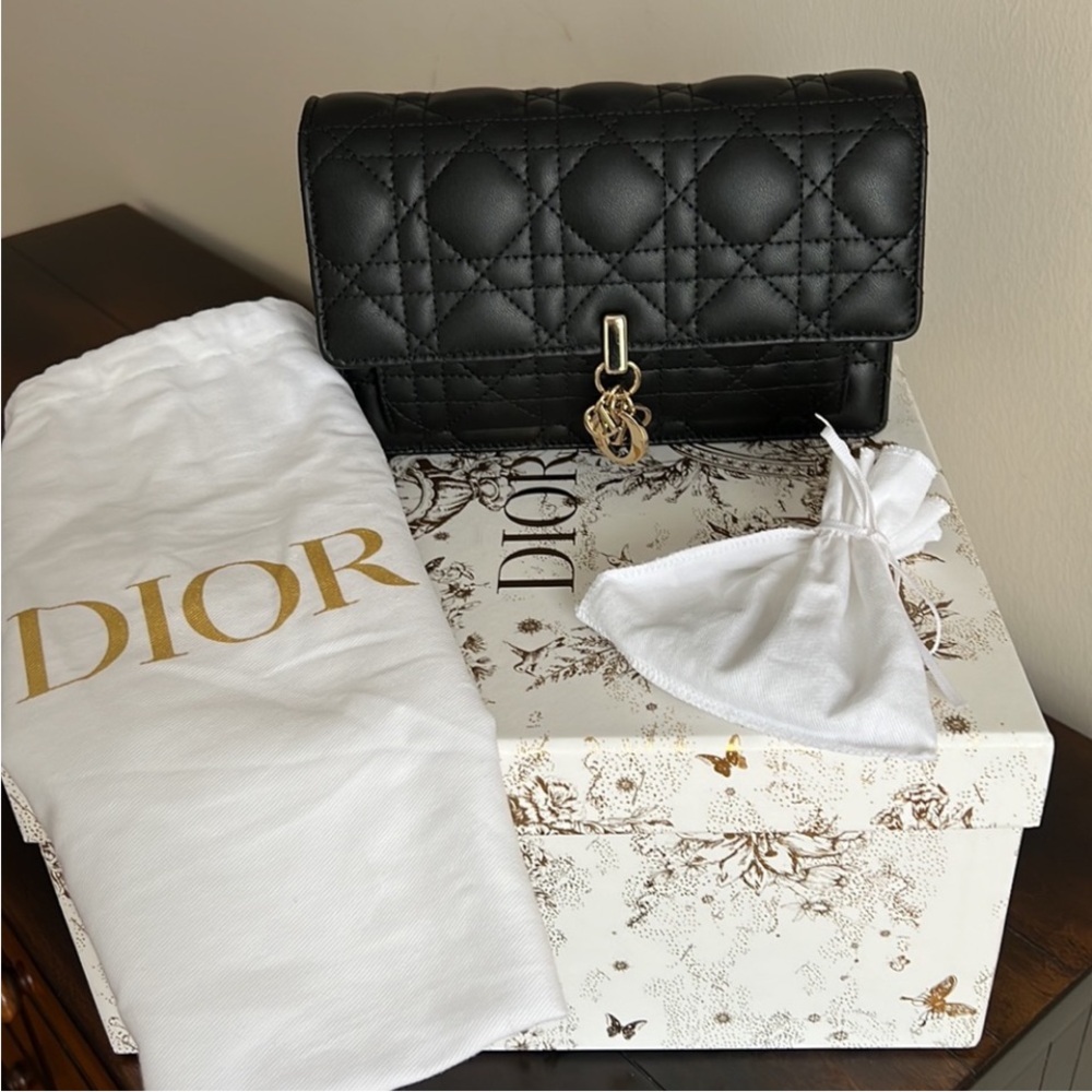 Lady Dior Chain Pouch - Picture 8 of 9